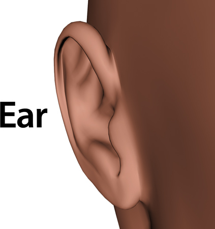 Man_ear