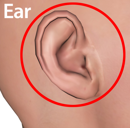 Man_ear2