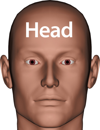 Man_head1