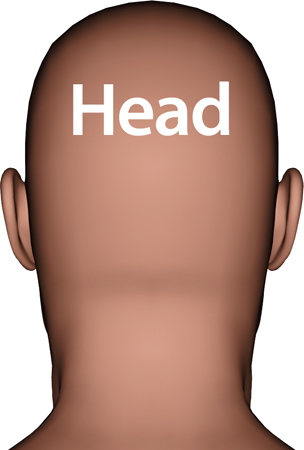 Man_head2