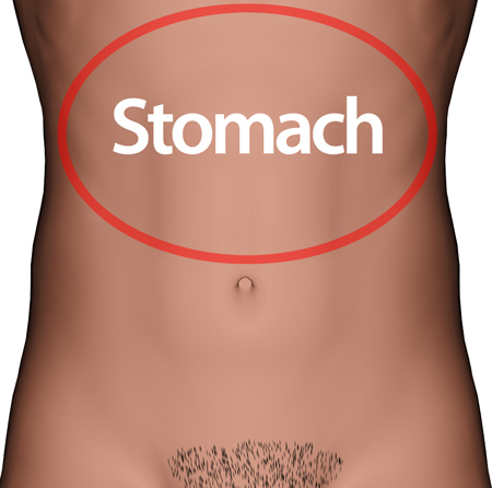 Man_stomach