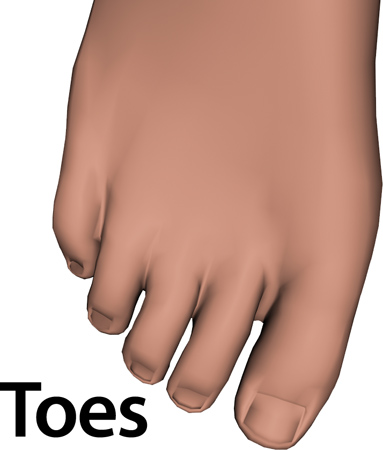 Man_toes