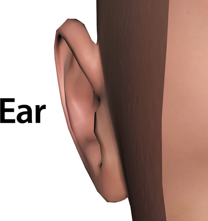 Woman_ear