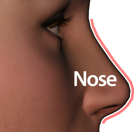 Woman_nose