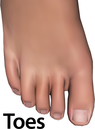 Woman_toes