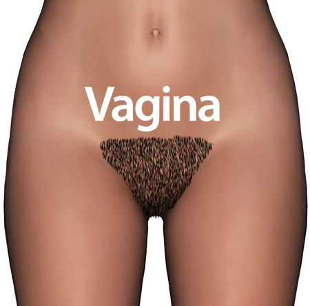 Woman_vagina