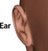 Man_ear