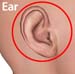 Man_ear2