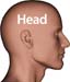 Man_head3