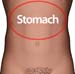 Man_stomach