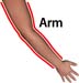 Woman_arm