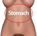 Woman_stomach