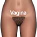 Woman_vagina