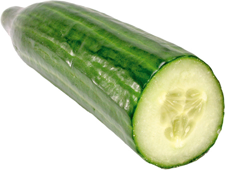 Cucumber