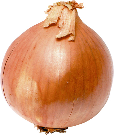 Onion_white