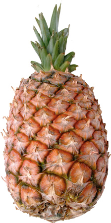 Pineapple