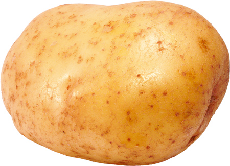 Potato