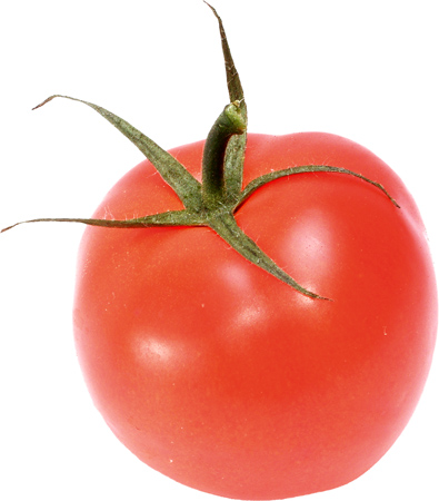 Tomato