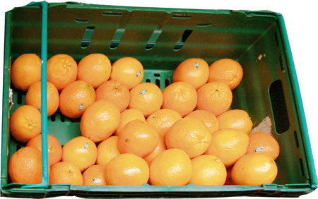 Orange_basket